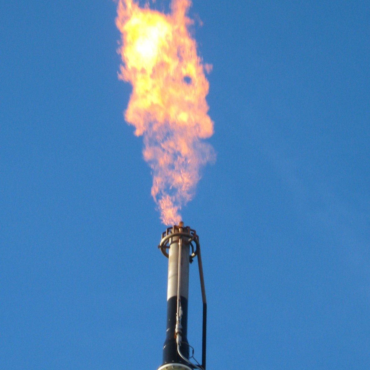 Gas Assist Flare System